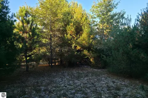 8 Vl Betsie River Rd, Interlochen, MI 49643 photo 9