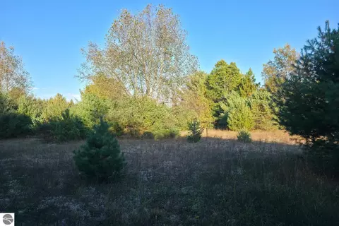 8 Vl Betsie River Rd, Interlochen, MI 49643 photo 8