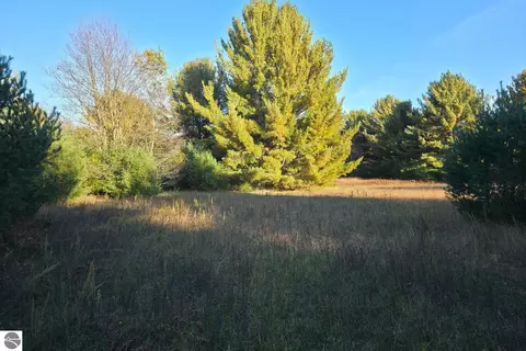 8 Vl Betsie River Rd, Interlochen, MI 49643 photo 5