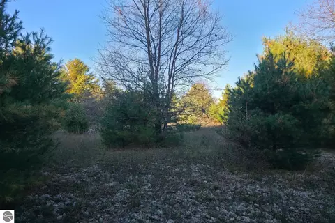 8 Vl Betsie River Rd, Interlochen, MI 49643 photo 6