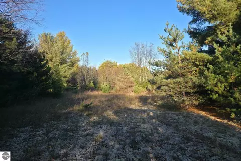 8 Vl Betsie River Rd, Interlochen, MI 49643 photo 7