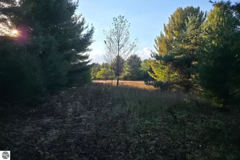8 Vl Betsie River Rd, Interlochen, MI 49643 photo 4