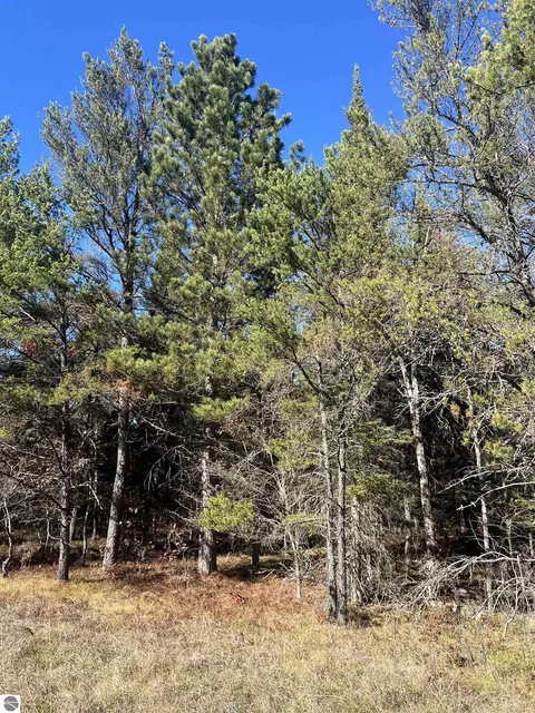 00 E North Down River Rd, Grayling, MI 49738 photo 2