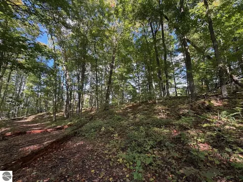Unit 119 Legend Trail, Bellaire, MI 49615