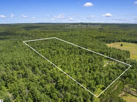 30 W Acres W 48 12 Rd, Wellston, MI 49689