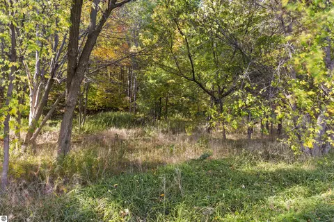 0 Ely Rd, Honor, MI 49640 photo 8