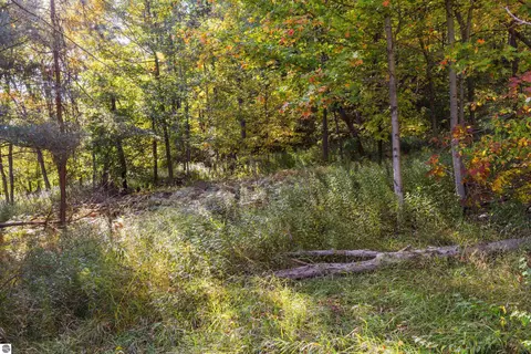 0 Ely Rd, Honor, MI 49640 photo 9