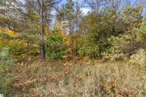 10 Acres Viaduct Rd, Copemish, MI 49625 photo 6