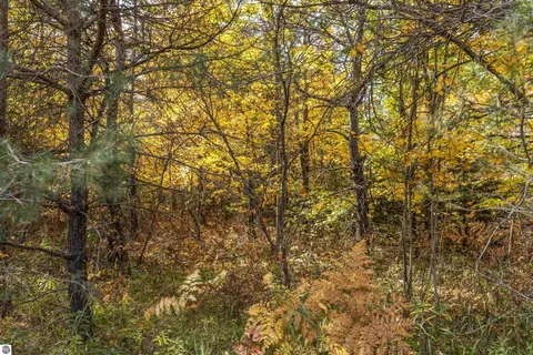 10 Acres Viaduct Rd, Copemish, MI 49625 photo 5