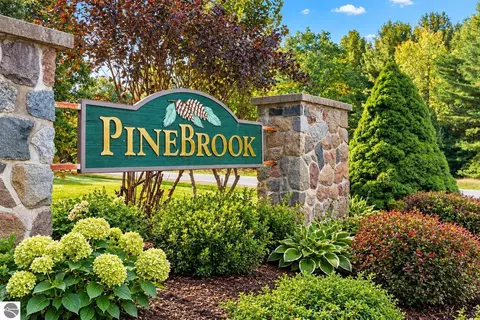 6493 Deer Path, Bellaire, MI 49615