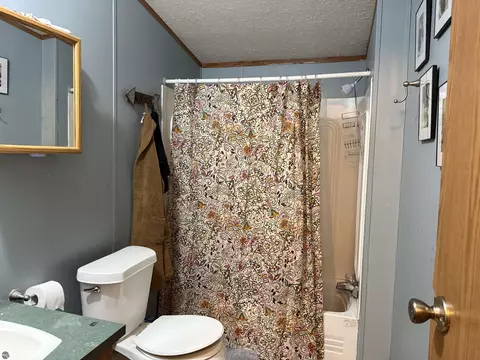 9899 E 18 12 Rd, Manton, MI 49663 photo 19