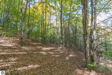 0000 W Darga Rd, Cedar, MI 49621 photo 15