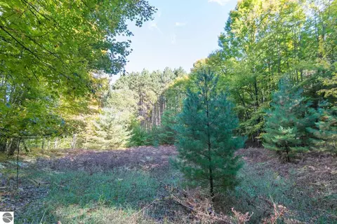 0000 W Darga Rd, Cedar, MI 49621 photo 13