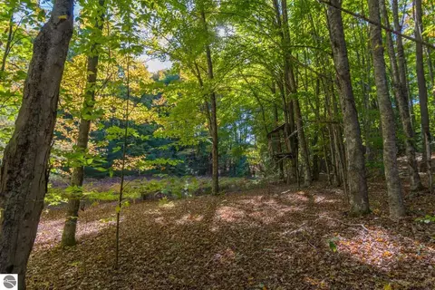 0000 W Darga Rd, Cedar, MI 49621 photo 11