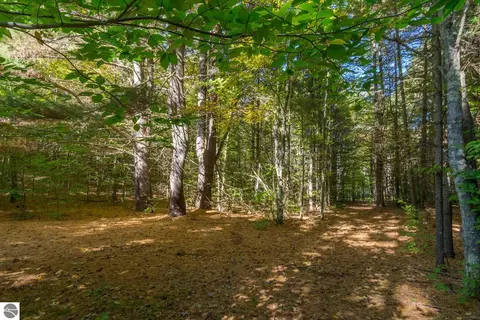 0000 W Darga Rd, Cedar, MI 49621 photo 10