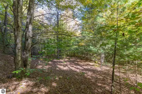 0000 W Darga Rd, Cedar, MI 49621 photo 14