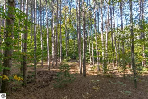 0000 W Darga Rd, Cedar, MI 49621 photo 9