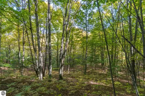 0000 W Darga Rd, Cedar, MI 49621 photo 17
