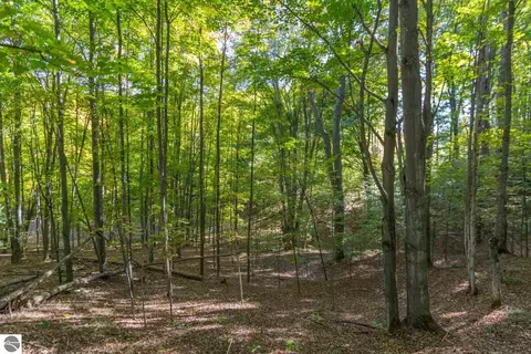 0000 W Darga Rd, Cedar, MI 49621 photo 16