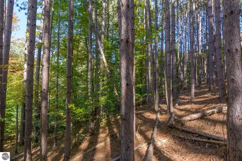 0000 W Darga Rd, Cedar, MI 49621 photo 18