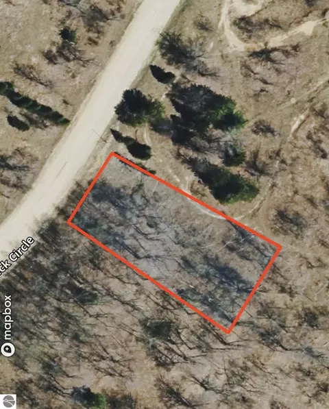 lot645 Renwick Cir, Mancelona, MI 49659