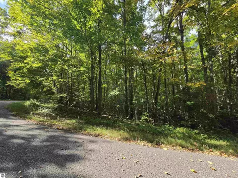 400 Dellwood Cir, Elmira, MI 49730