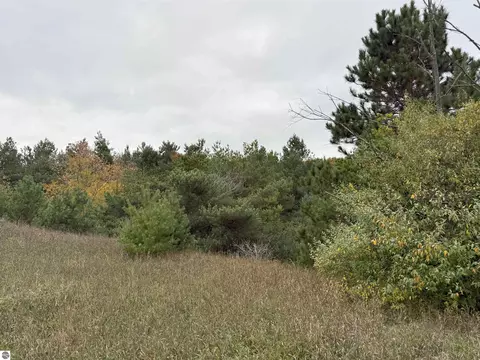 5407 S Good Harbor Trl, Cedar, MI 49621 photo 31