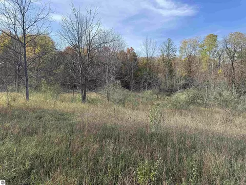 Parcel 4 S Tower Road, Maple City, MI 49664