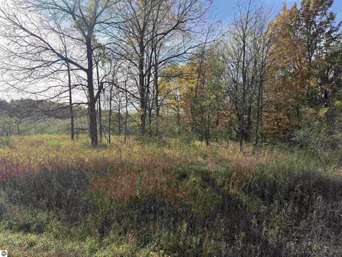 Parcel 5 S Tower Road, Maple City, MI 49664