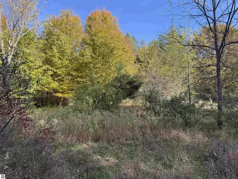 Parcel 6 S Tower Road, Maple City, MI 49664