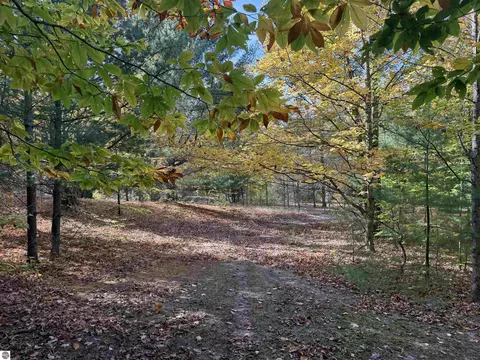 Parcel 8 S Tower Road, Maple City, MI 49664