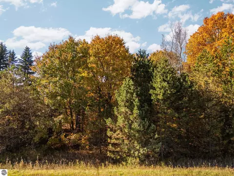 00 Litzen Rd, Copemish, MI 49625 photo 20