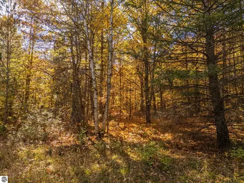 00 Litzen Rd, Copemish, MI 49625 photo 14