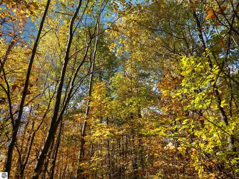 00 Litzen Rd, Copemish, MI 49625 photo 24