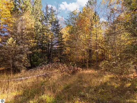 00 Litzen Rd, Copemish, MI 49625 photo 17