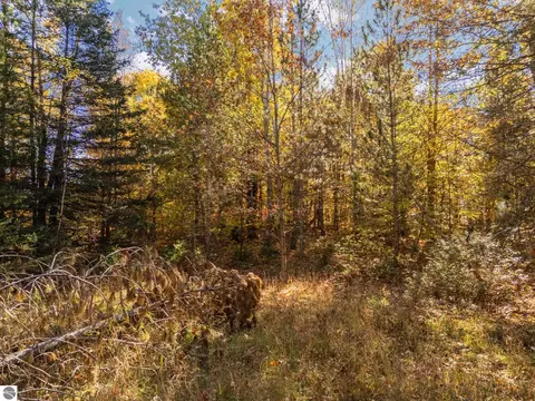 00 Litzen Rd, Copemish, MI 49625 photo 15