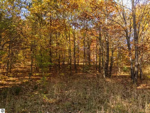 00 Litzen Rd, Copemish, MI 49625 photo 16