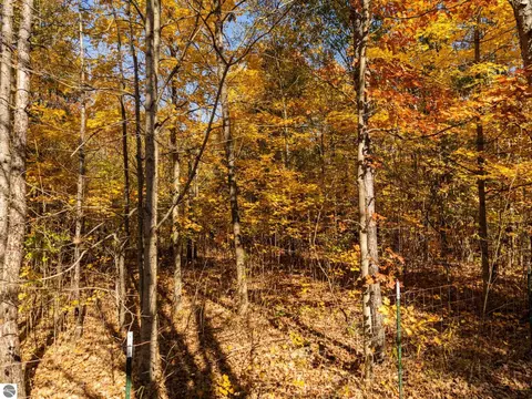 00 Litzen Rd, Copemish, MI 49625 photo 12