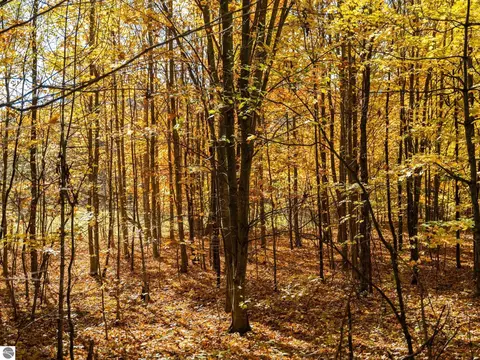 00 Litzen Rd, Copemish, MI 49625 photo 27