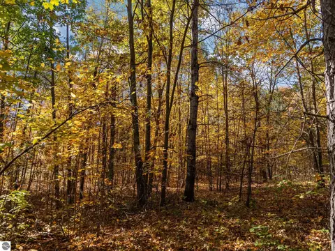 00 Litzen Rd, Copemish, MI 49625 photo 21