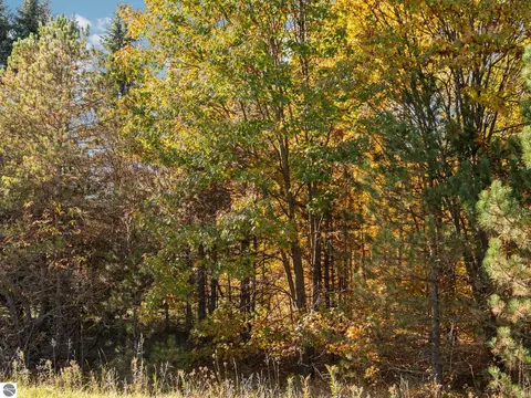 00 Litzen Rd, Copemish, MI 49625 photo 28