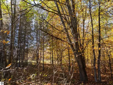 00 Litzen Rd, Copemish, MI 49625 photo 23