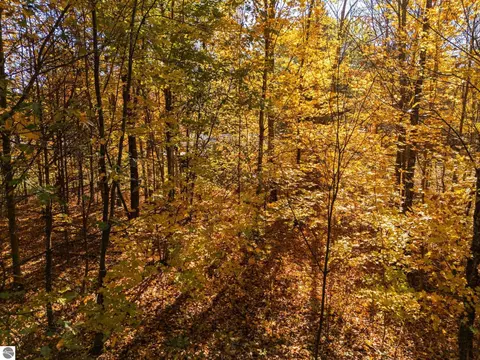 00 Litzen Rd, Copemish, MI 49625 photo 11