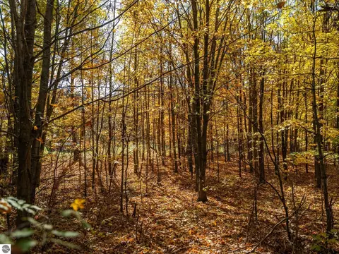 00 Litzen Rd, Copemish, MI 49625 photo 29