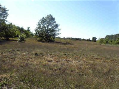 17 Trim Lake View Ests, New Era, MI 49446