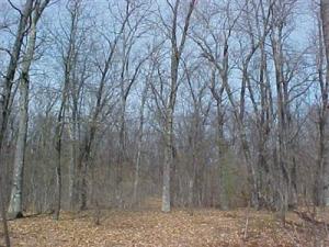2040 N Gordon Rd, White Cloud, MI 49349 photo 9