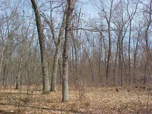 2040 N Gordon Rd, White Cloud, MI 49349 photo 8