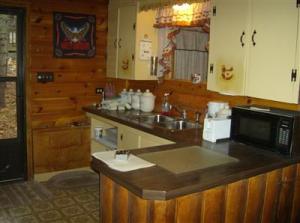 9218 Ranger, Baldwin, MI 49304 photo 9