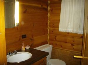 9218 Ranger, Baldwin, MI 49304 photo 11