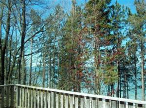 13590 Easy Ln, Harbert, MI 49115 photo 16